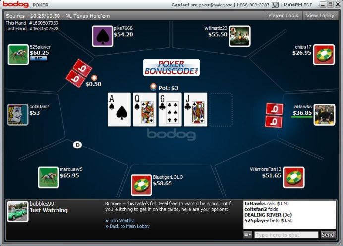 Bodog Poker Screenshot Table